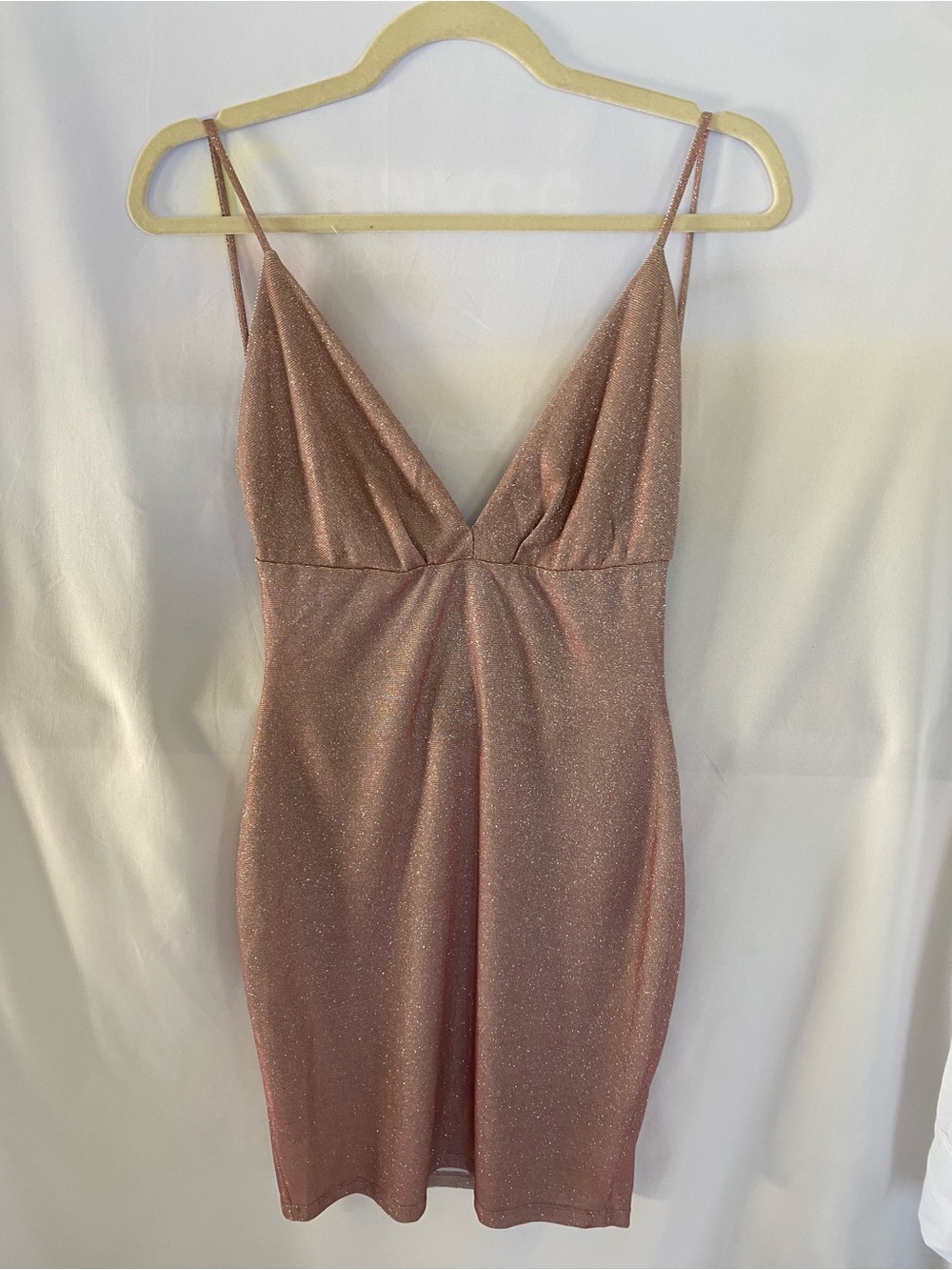 Windsor Shimmery Rose Slip Mini Dress